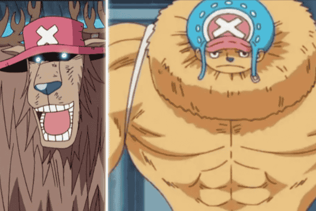 tony-tony-choper-monstor-point-strawhats-crew